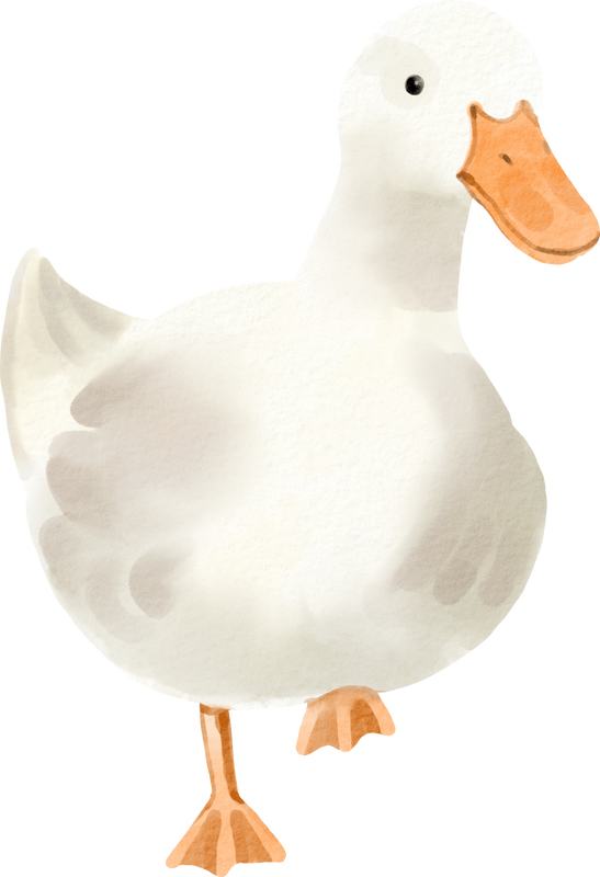 watercolor duck